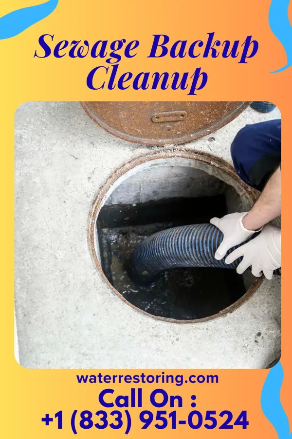 Sewage Backup Cleanup in Mechanicsburg, OH