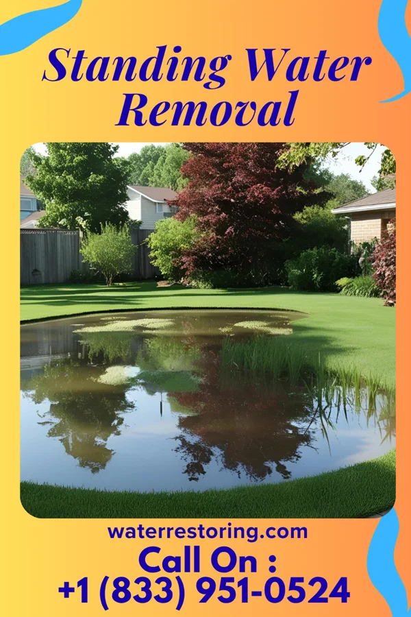 Standing Water Removal in Mechanicsburg, OH